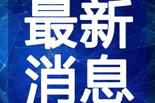 尾货深坑最新爆料视频,最新爆料视频曝光惊人内幕